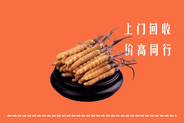 高价求购：盈江县回收散虫草