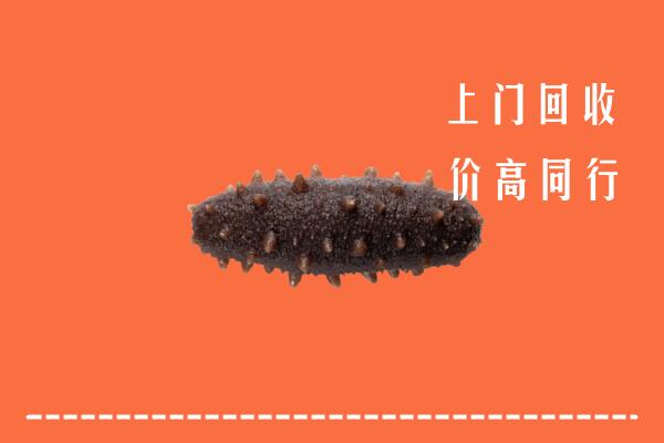 高价求购：盈江县回收海参