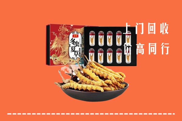 盈江县回收虫草